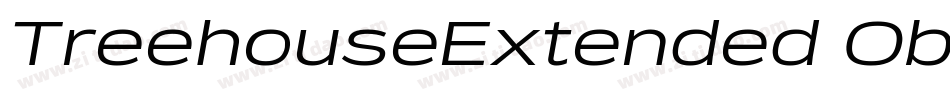 TreehouseExtended Oblique字体转换